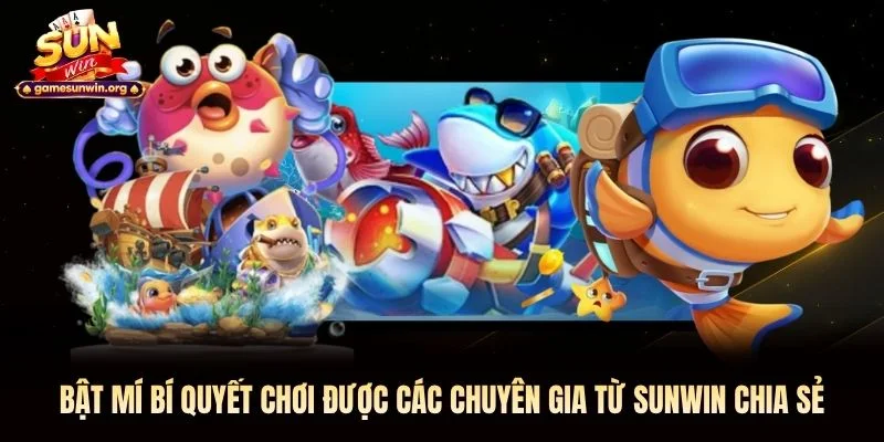 Bật mí bí quyết chơi được các chuyên gia từ Sunwin chia sẻ
