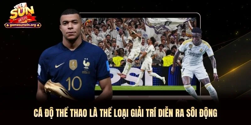 Cá độ thể thao là thể loại giải trí diễn ra sôi động