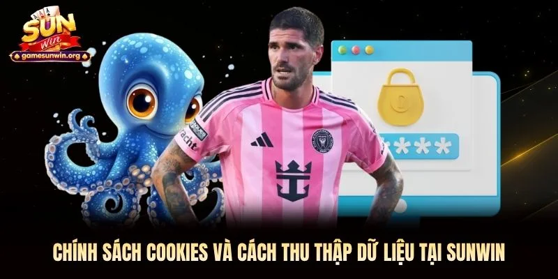 Chính sách cookies và cách thu thập dữ liệu tại Sunwin