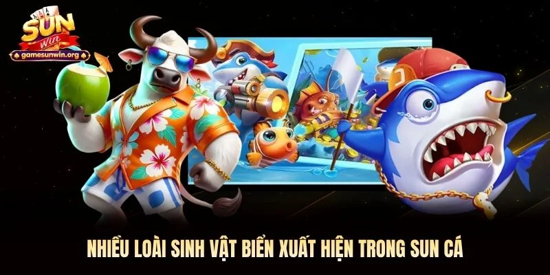 Nhiều loài sinh vật biển xuất hiện trong Sun Cá Nhiều loài sinh vật biển xuất hiện trong Sun Cá